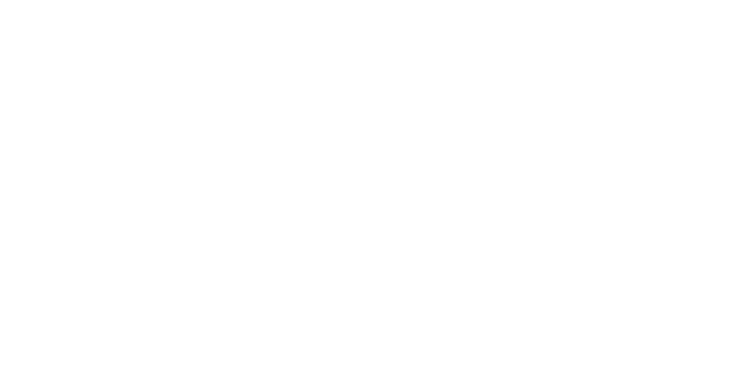 Seguradora parceira