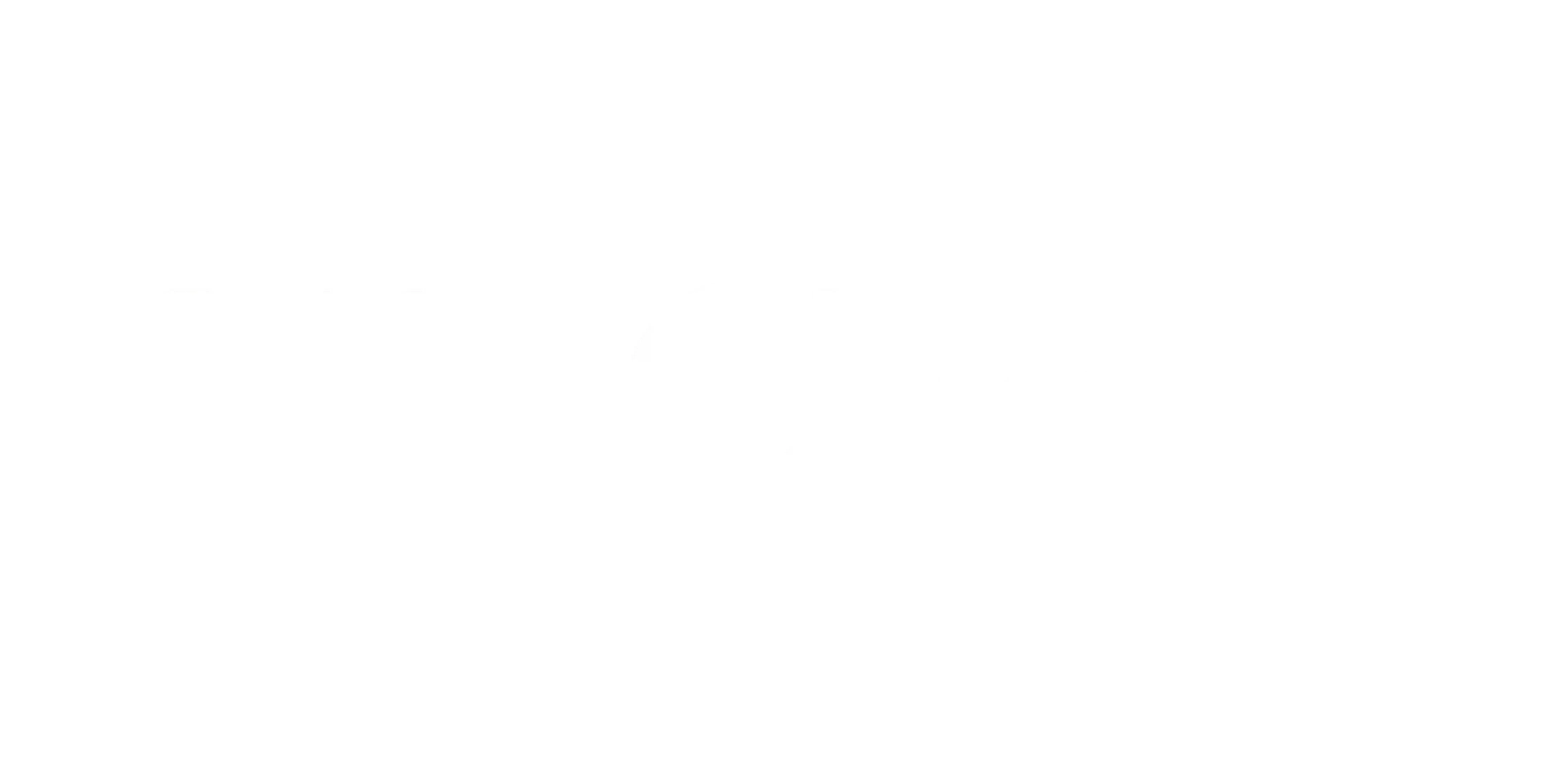 Seguradora parceira