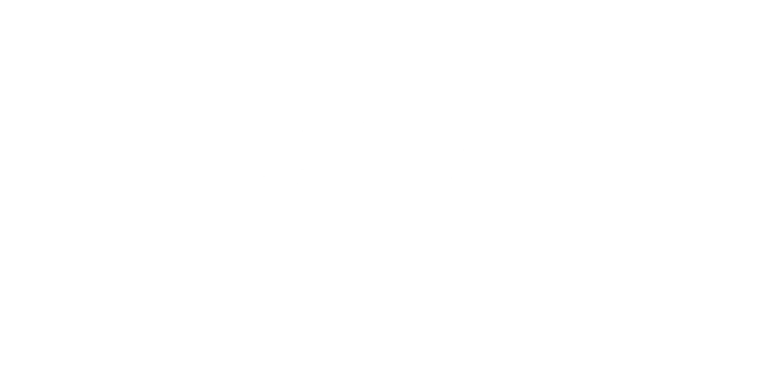 Seguradora parceira