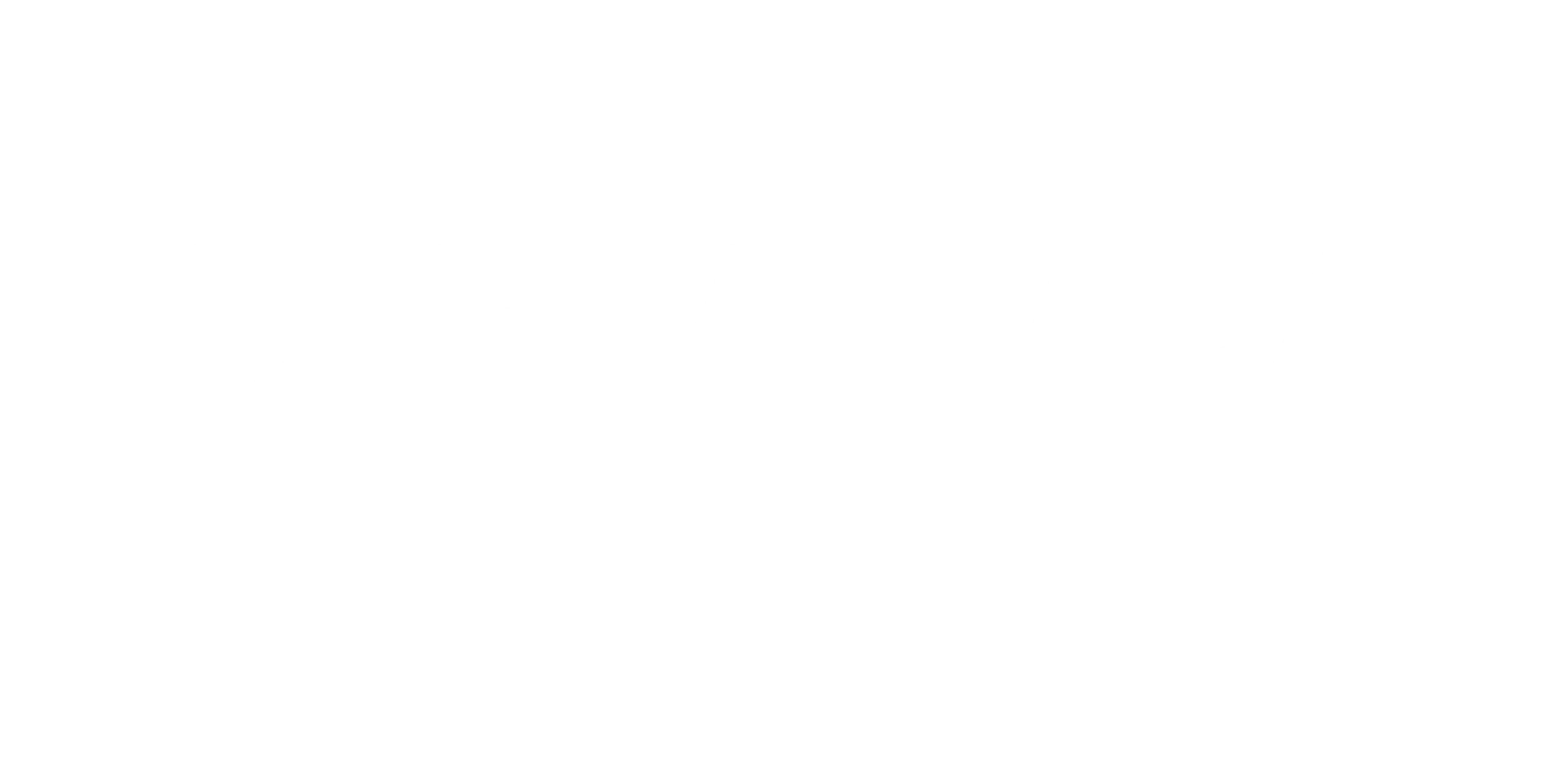Seguradora parceira