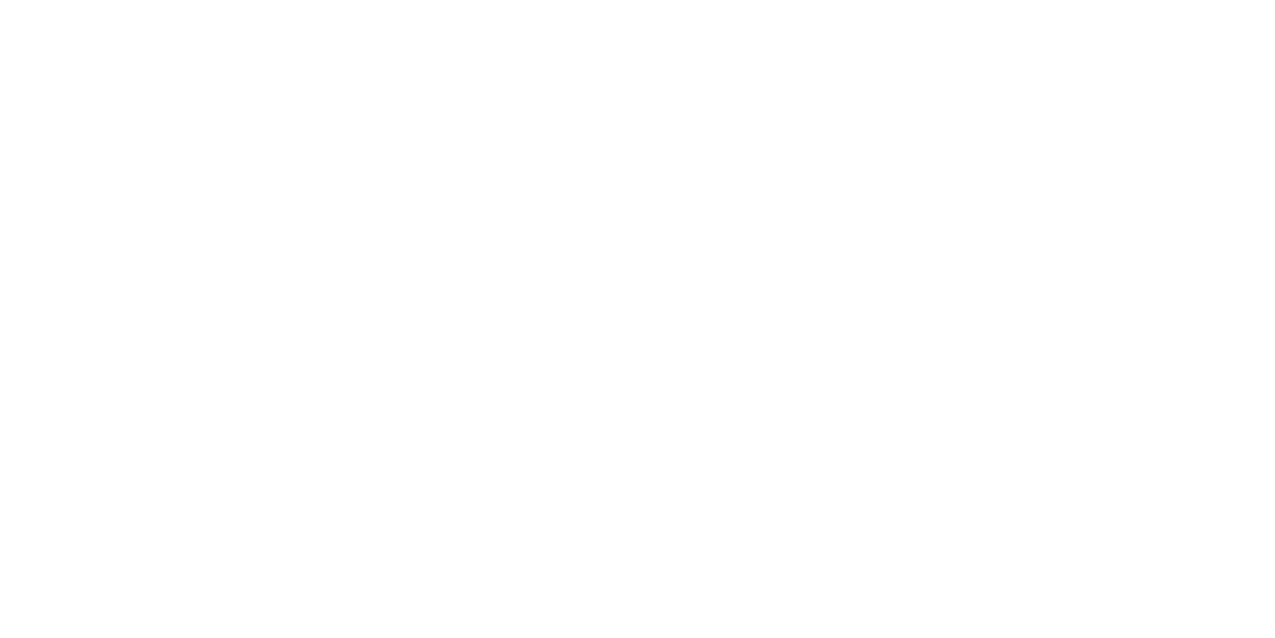Seguradora parceira