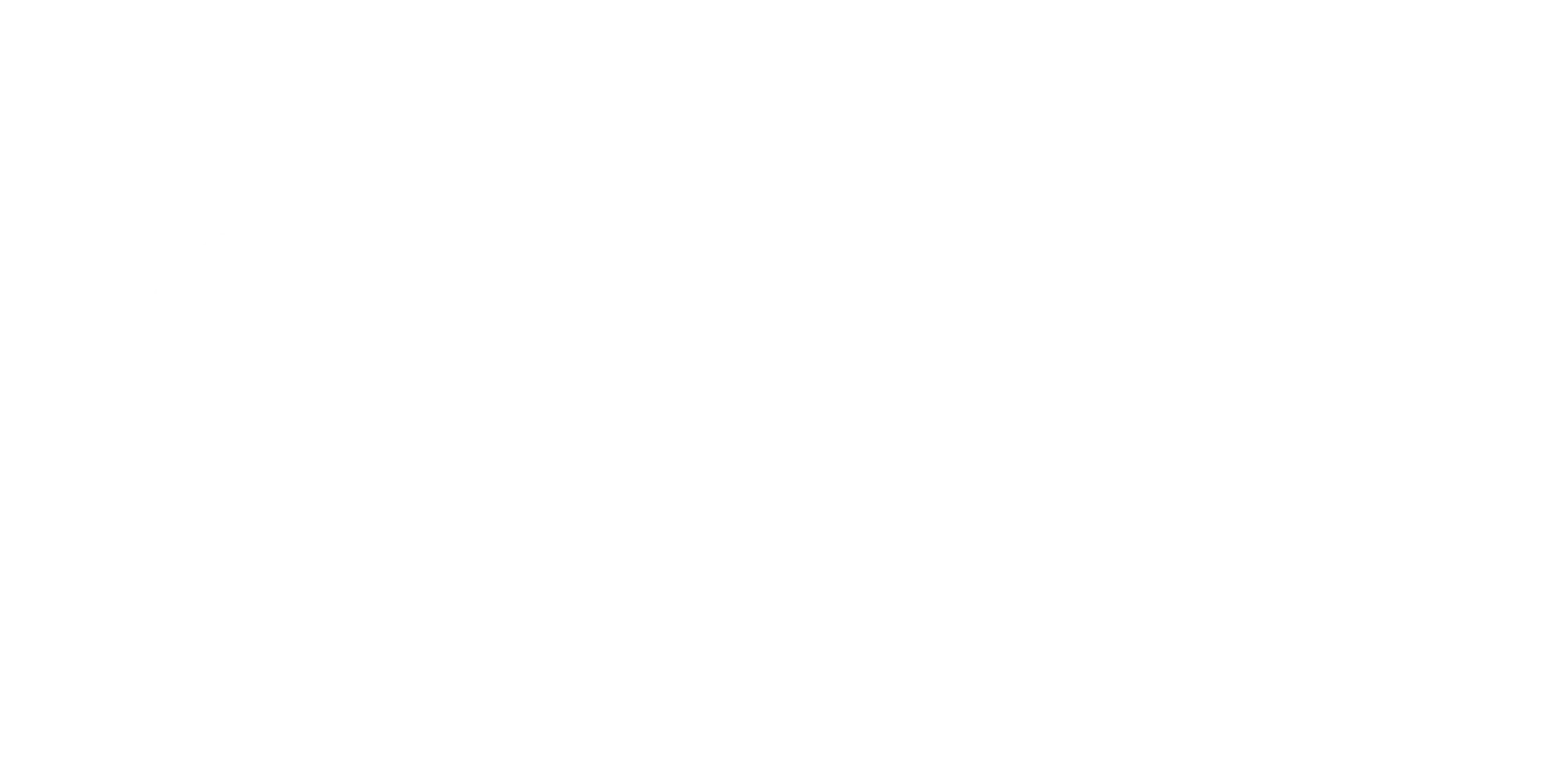 Seguradora parceira